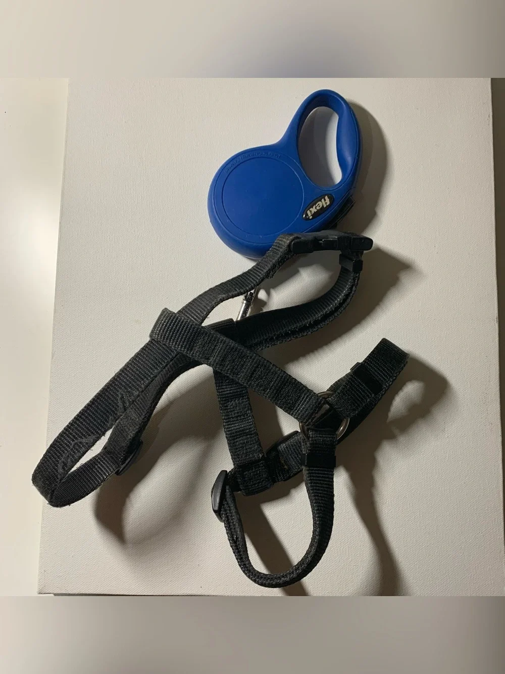 Blue Flexi retractable leash paired with a black nylon pet harness
